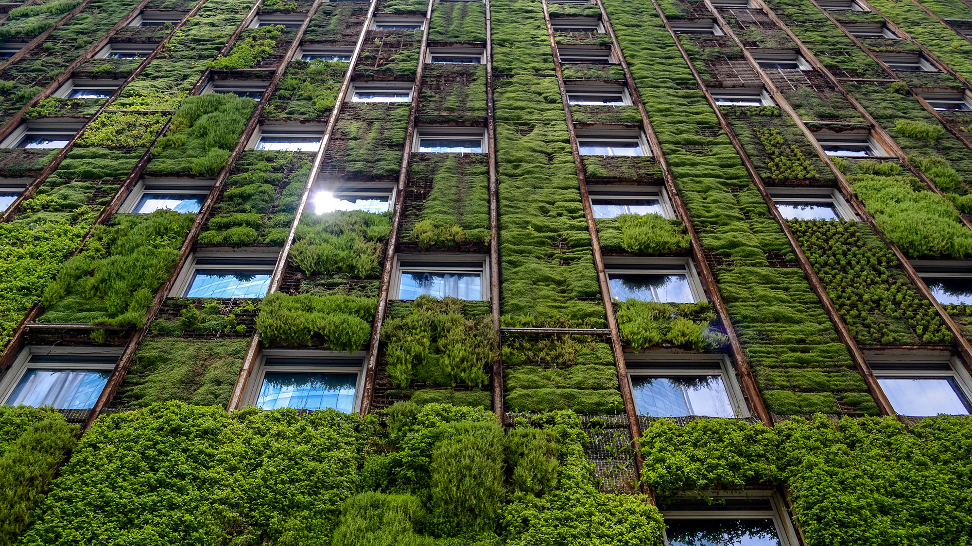 Sustainable approaches to reinstatement 